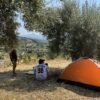 campeggio tra gli ulivi e con vista sulle colline durante l'evento TSPACE dal titolo QUINTA DA NINA ROSE
