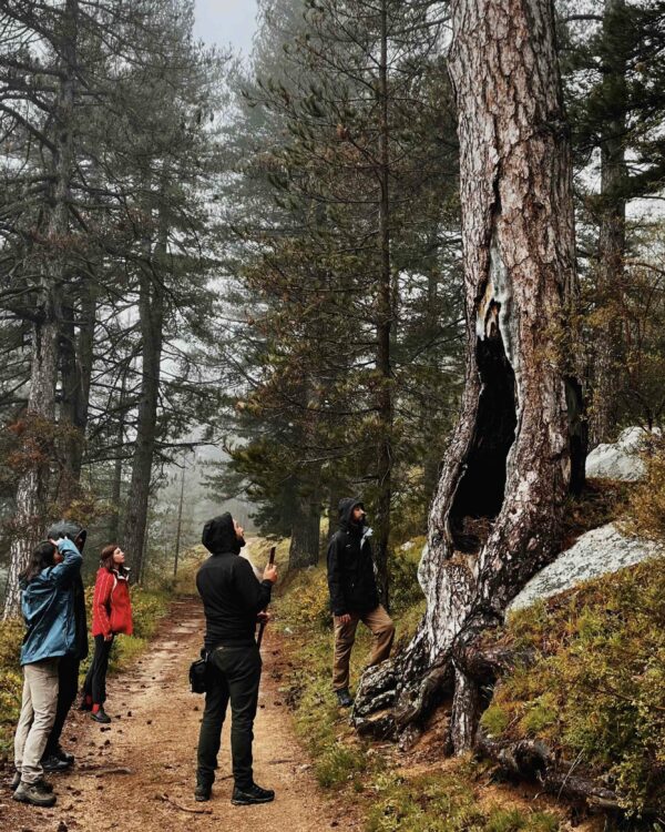 Esplorazione dei Sensi Retreat – Yoga nel Parco Nazionale della Sila